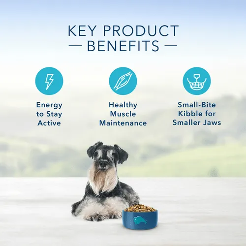 BLUE Life Protection Formula Small Breed Chicken & Brown Rice Recipe Dry Dog Food