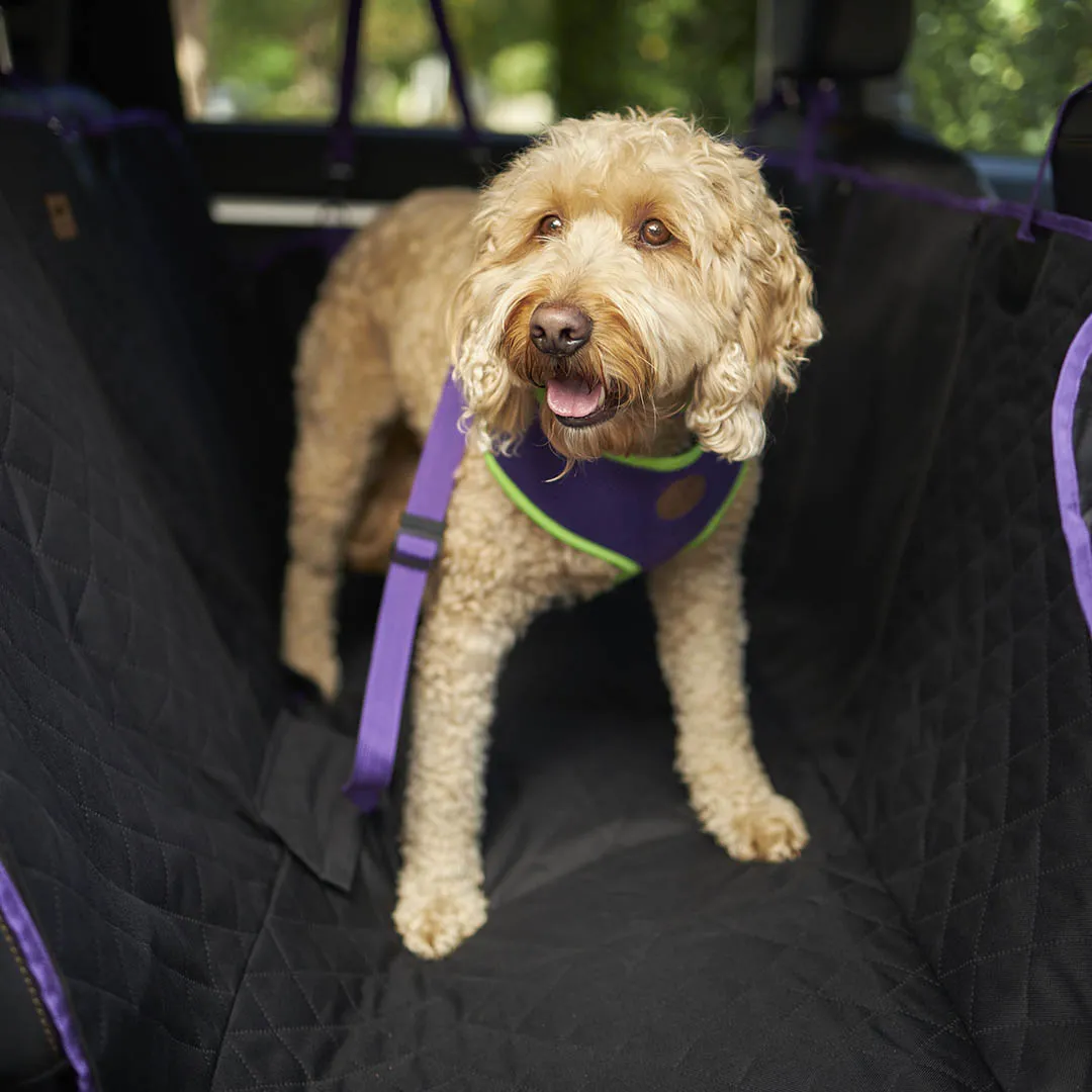 Car Seat Cover