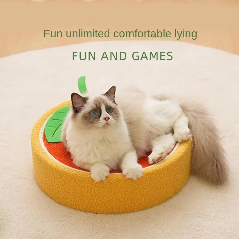 Cat Scratching Board