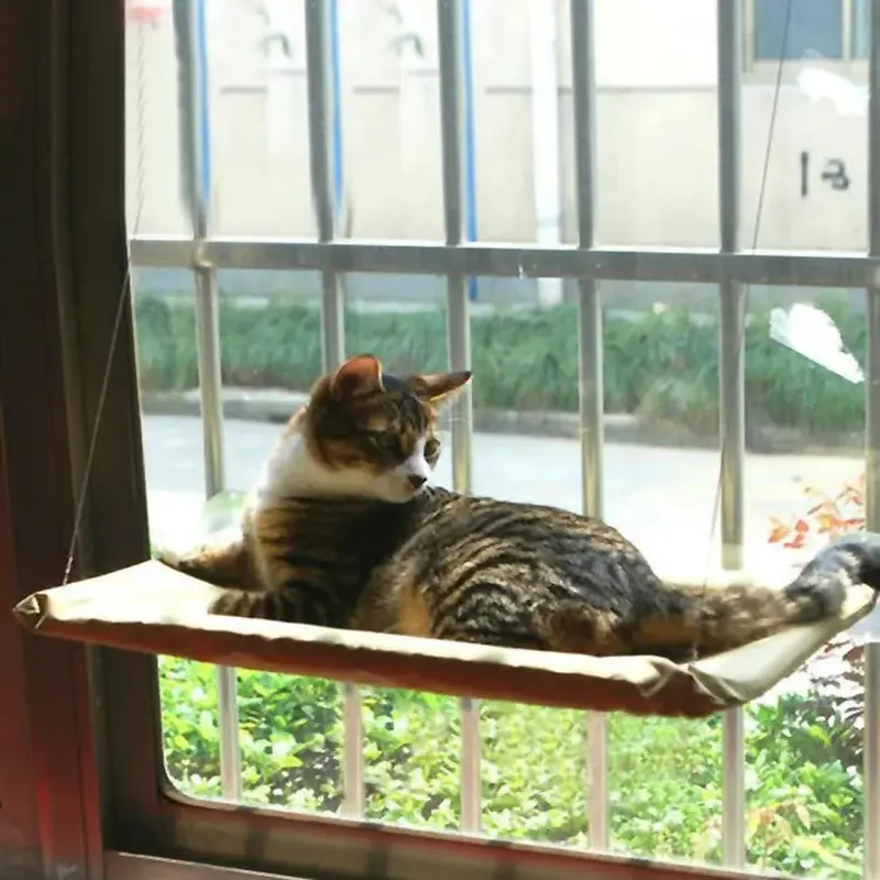 Cat Window Bed - Ultimate Perch for Sunbathing Cats
