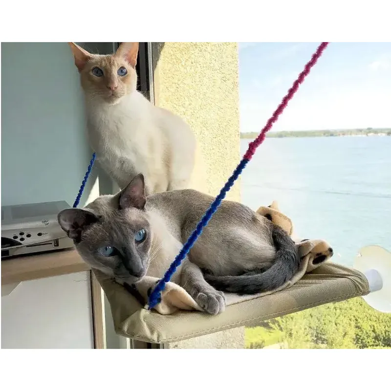 Cat Window Bed - Ultimate Perch for Sunbathing Cats