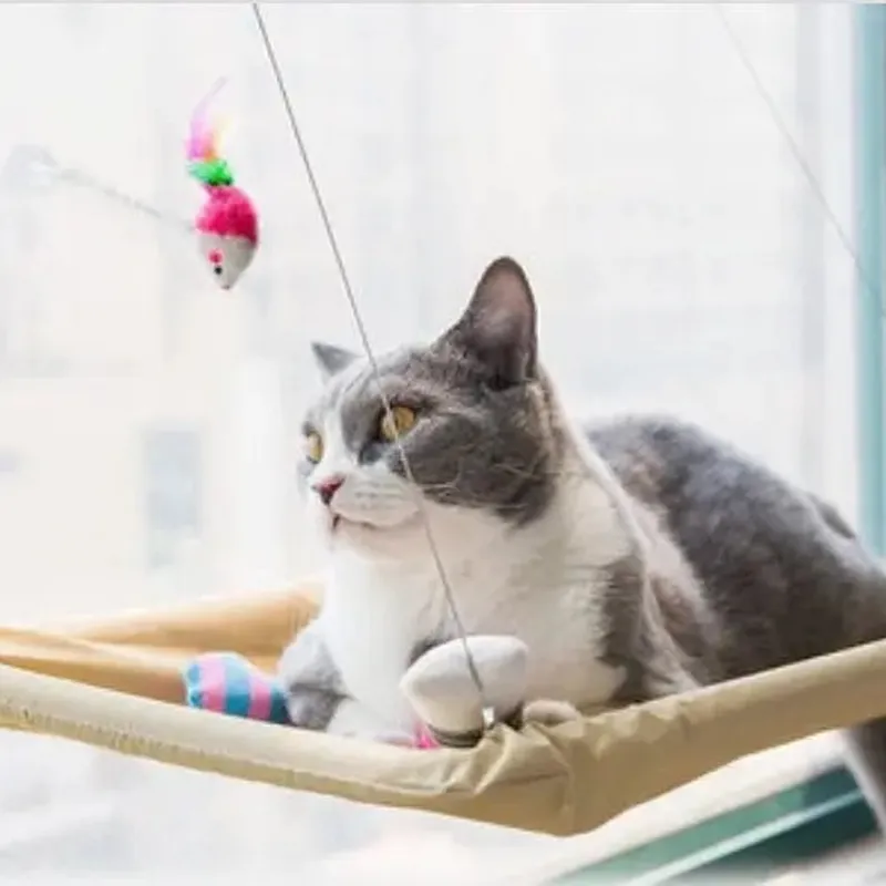 Cat Window Bed - Ultimate Perch for Sunbathing Cats