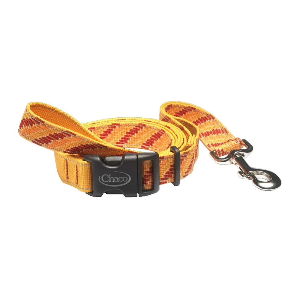 Dog Leash