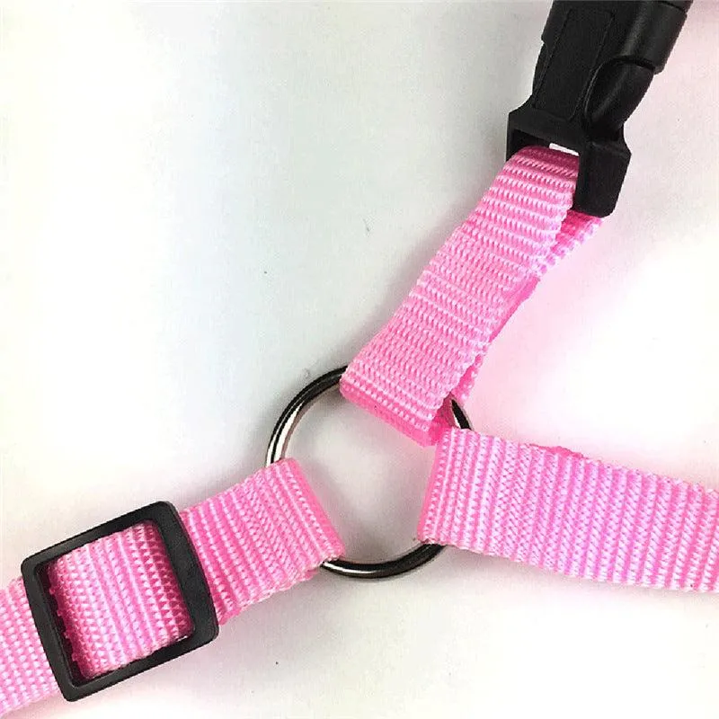 Dog Seat Belt, Dog Car Harness, Dog Seat Belt Harness, Dog Car Seat Belt - Keep Your Furry Friend Safe and Secure