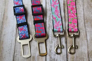Dog Seat Belts
