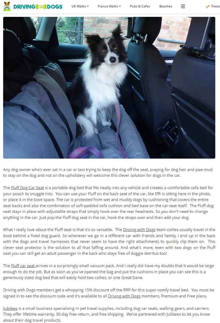 Fluff Dog Car Seat