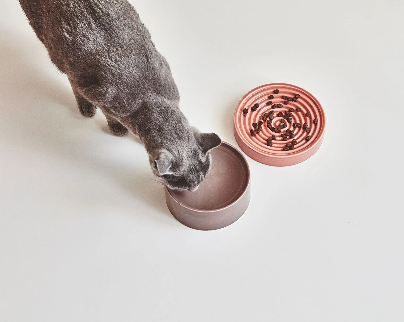 Fresco Porcelain Cat Bowl