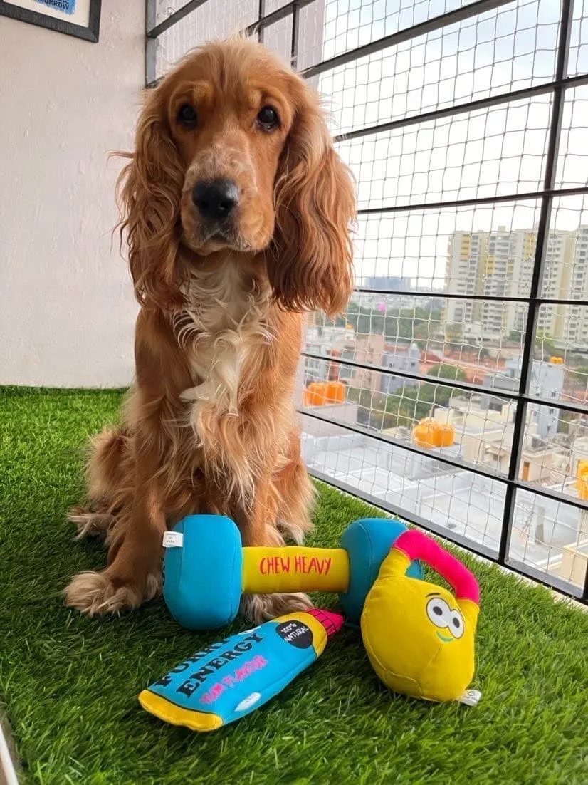 Goofy Tails Gym Series Dumbbell Plush Toy  | Squeaky Toy For Dogs and Puppies