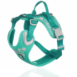 Hurtta Weekend Warrior Harness Peacock