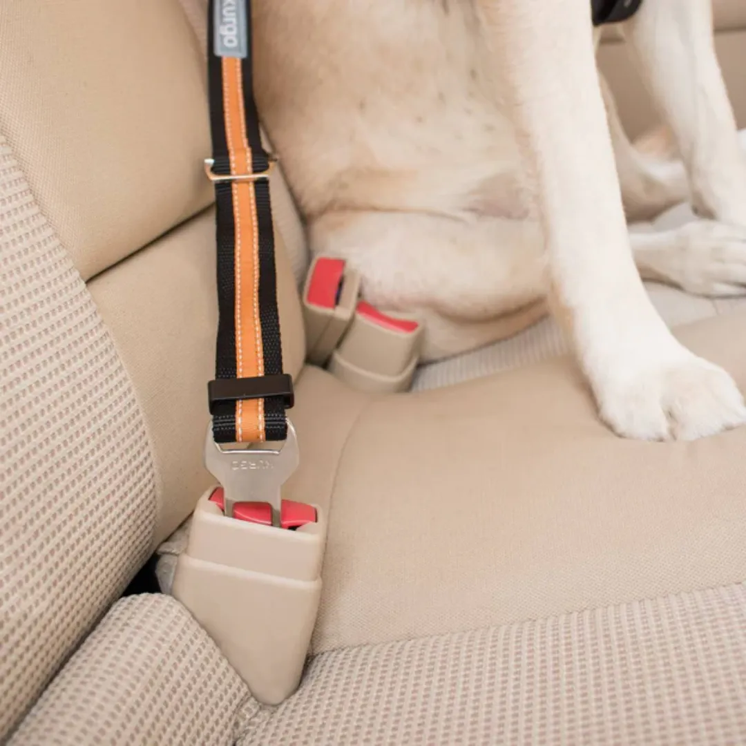Kurgo Dog Seat Belt | Direct to Seatbelt Tether