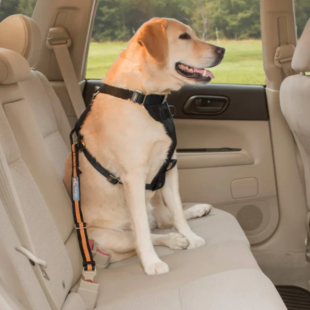 Kurgo Dog Seat Belt | Direct to Seatbelt Tether