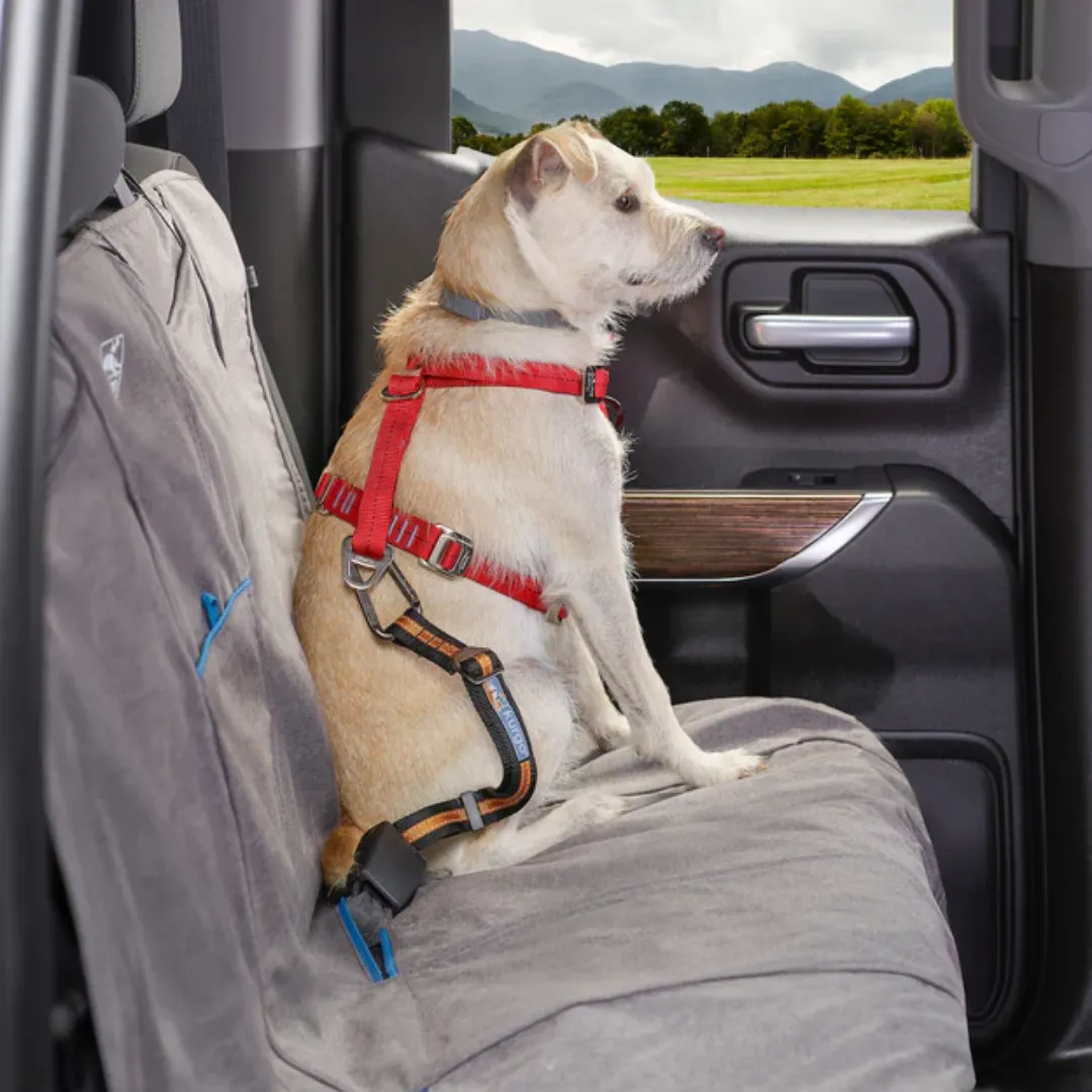 Kurgo Dog Seat Belt | Direct to Seatbelt Tether