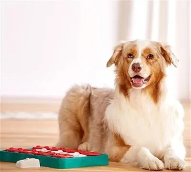Nina Ottosson Dog Brick