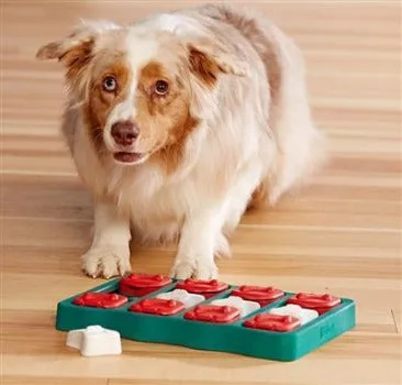 Nina Ottosson Dog Brick