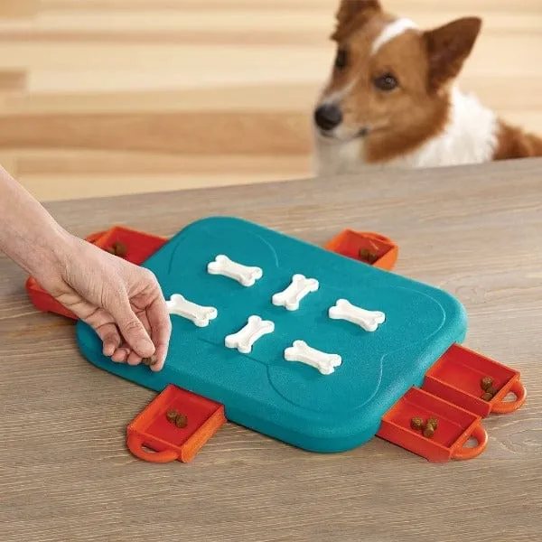Outward Hound Dog Casino