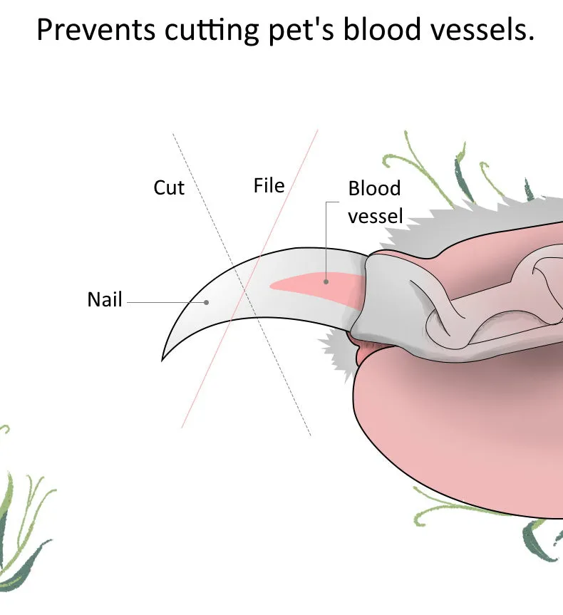 Pet Nail Clipper Set