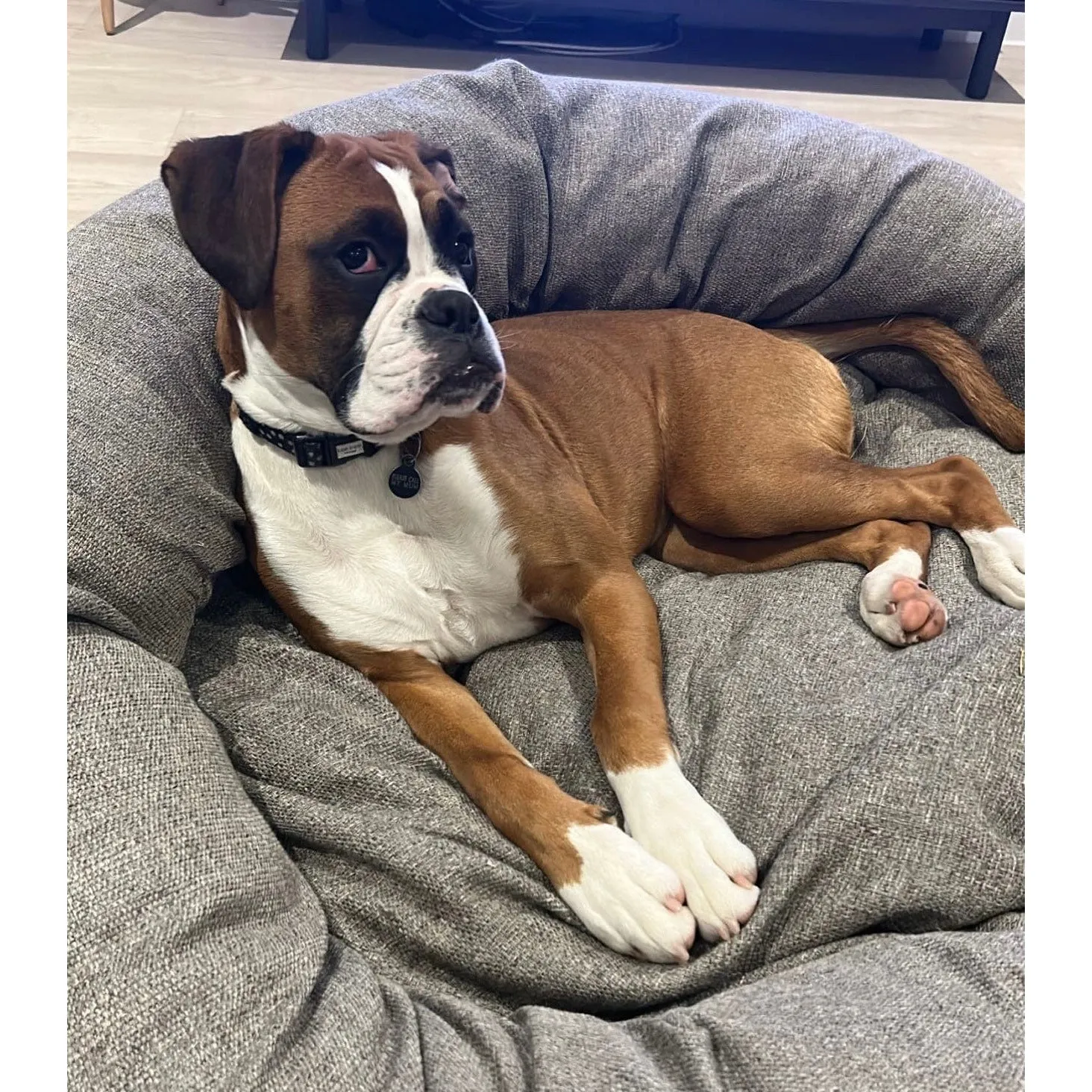 Pet Prestige - Luxury Porto Grey Donut Dog Bed