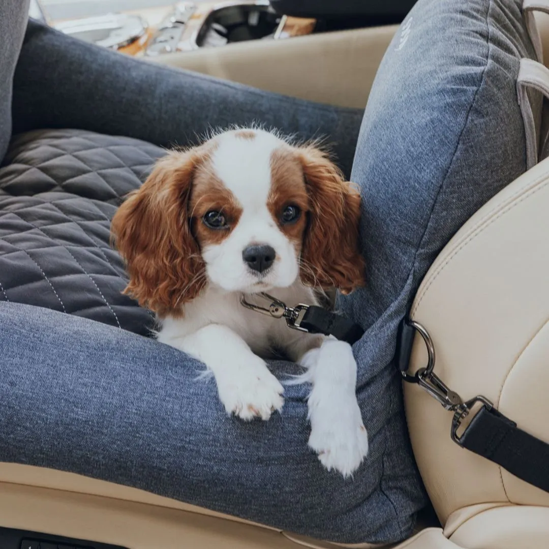 Premium Dog Car Bed