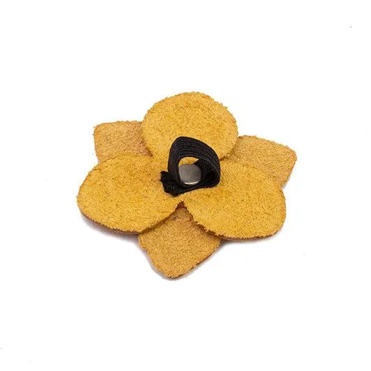 Reflective Flower 'Yellow Leather'