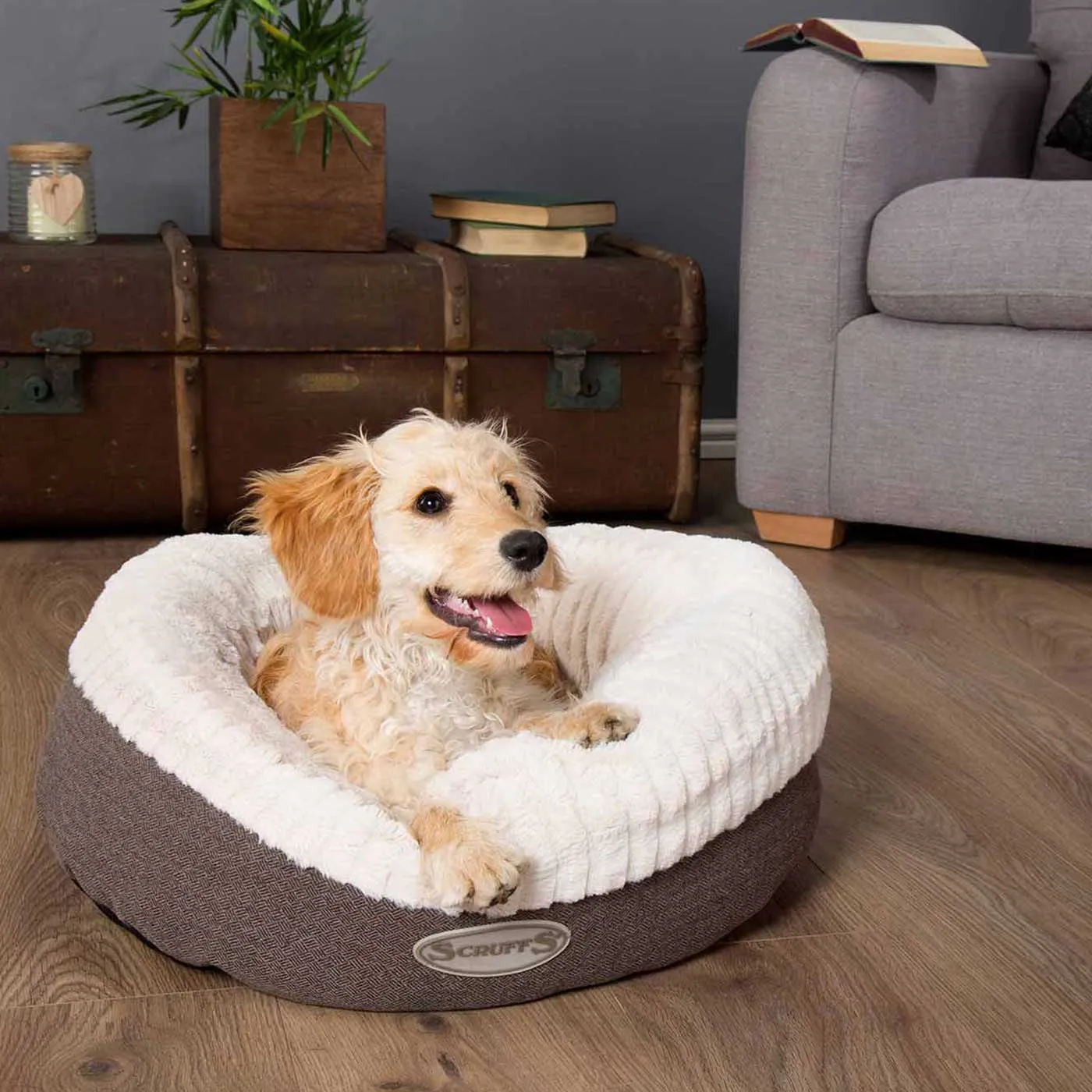 Scruffs Ellen Donut Pet Bed