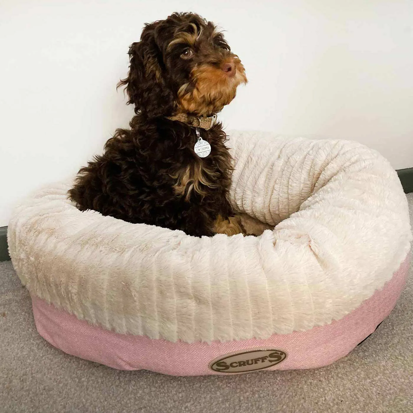 Scruffs Ellen Donut Pet Bed