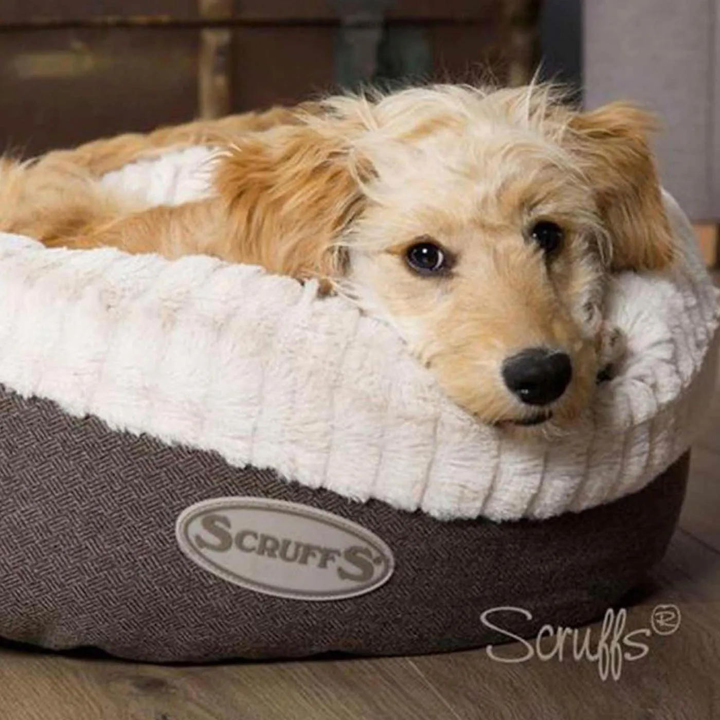 Scruffs Ellen Donut Pet Bed