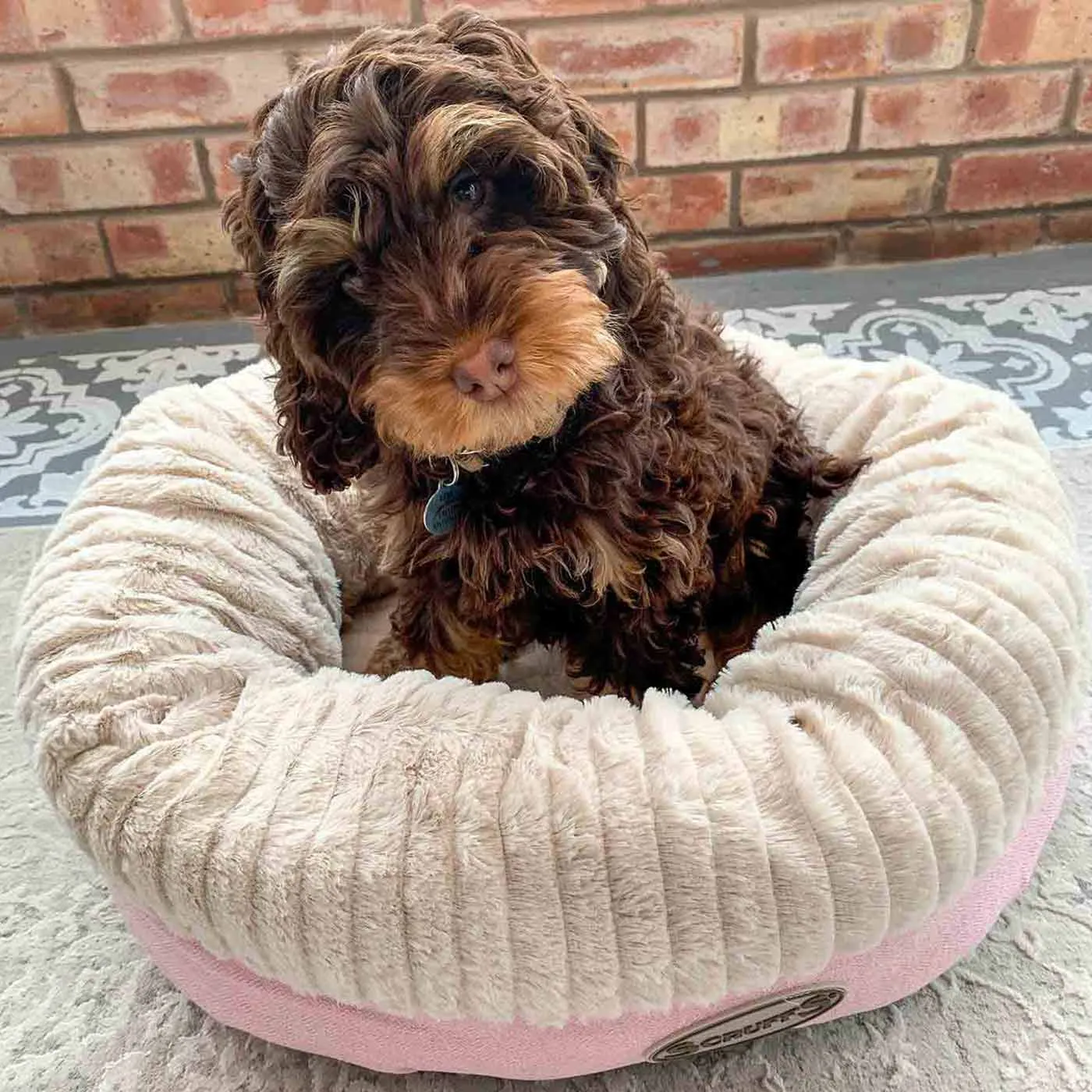 Scruffs Ellen Donut Pet Bed