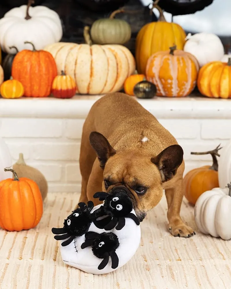 Skull   Spiders Hide-and-Seek Plush Dog Toy
