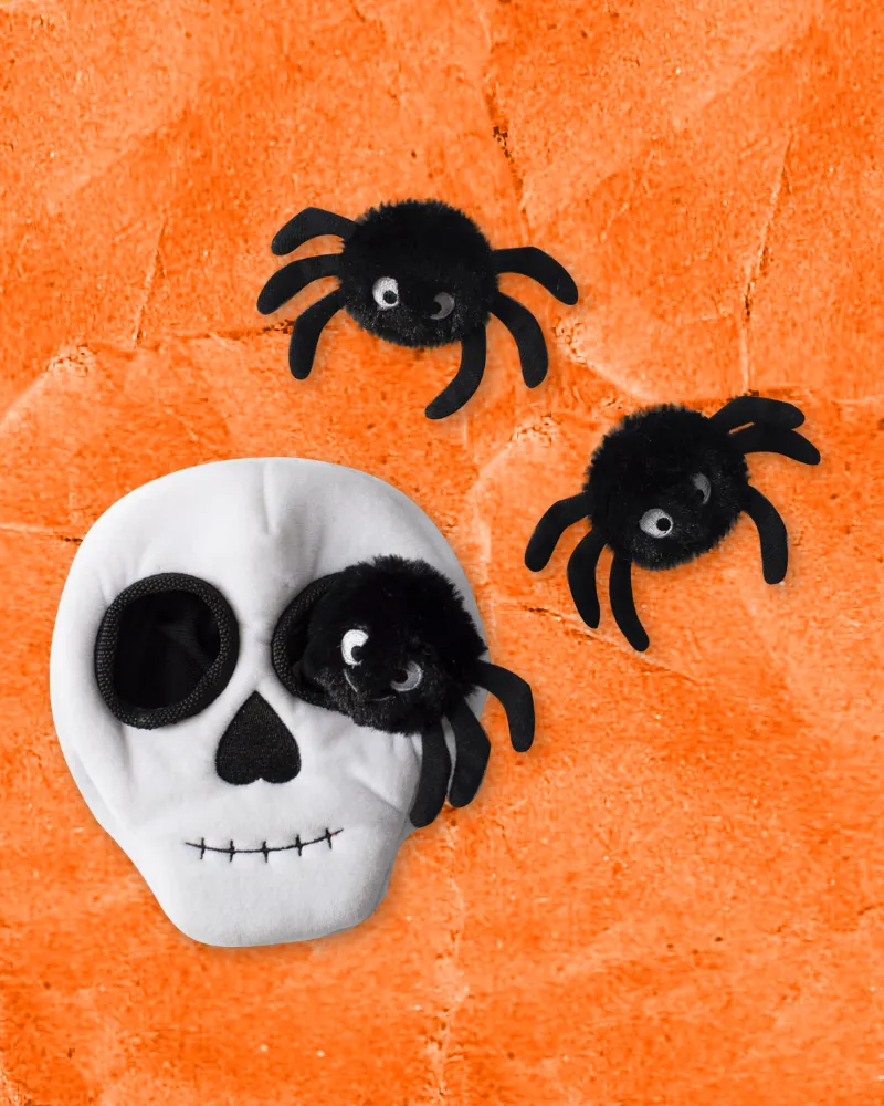 Skull   Spiders Hide-and-Seek Plush Dog Toy