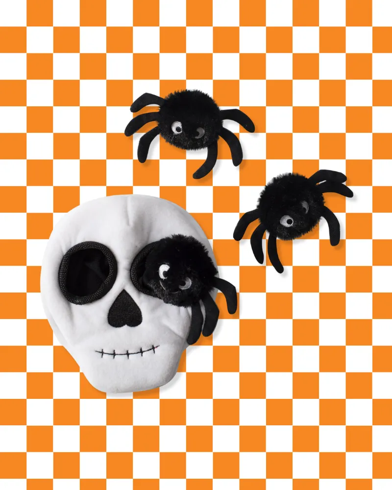 Skull   Spiders Hide-and-Seek Plush Dog Toy