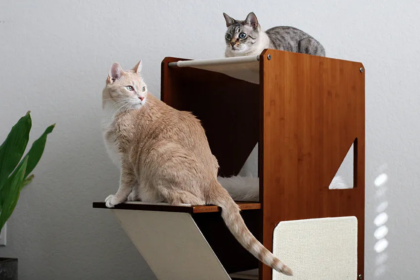 The Overlook - A Cat Tree For Large Cats