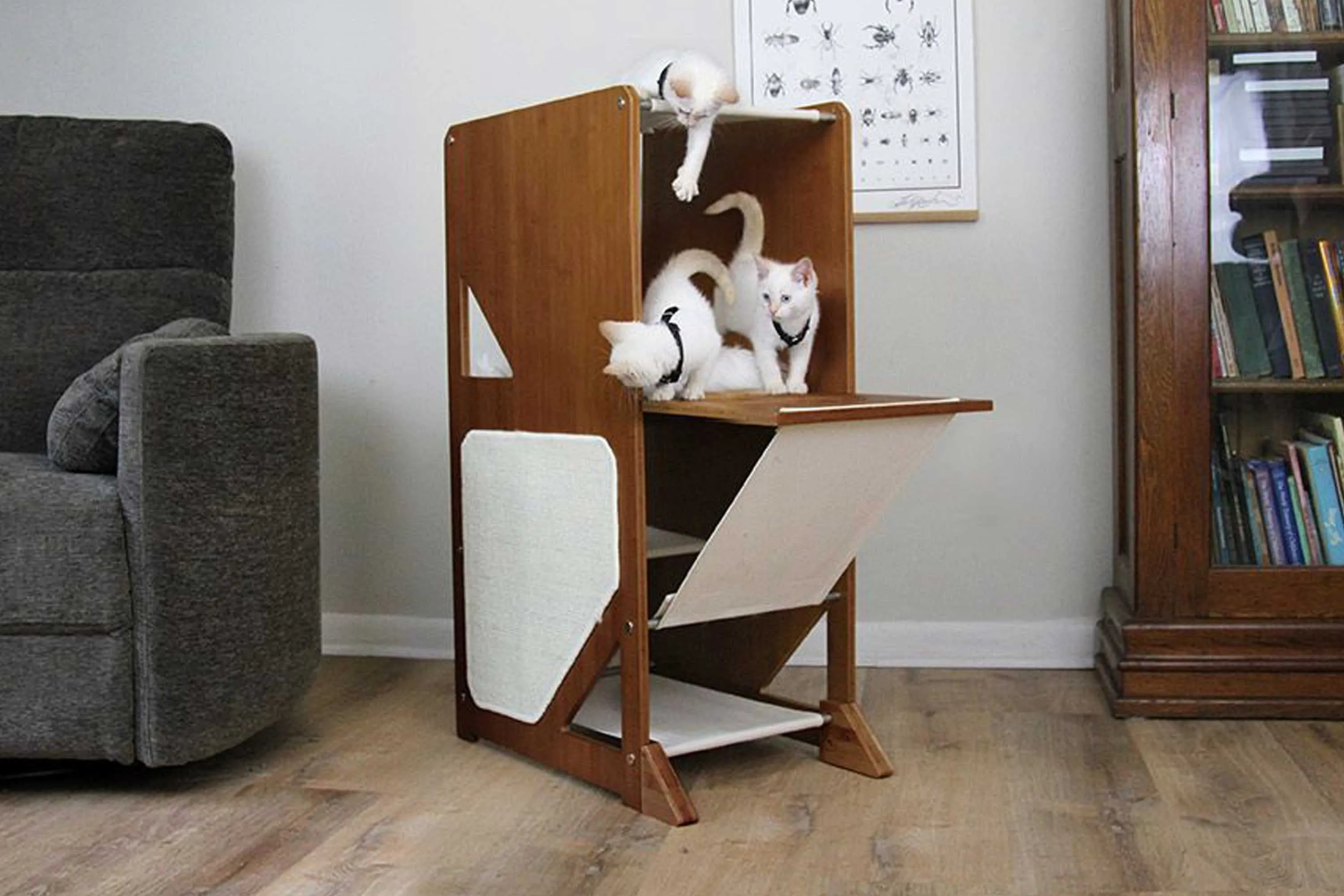 The Overlook - A Cat Tree For Large Cats