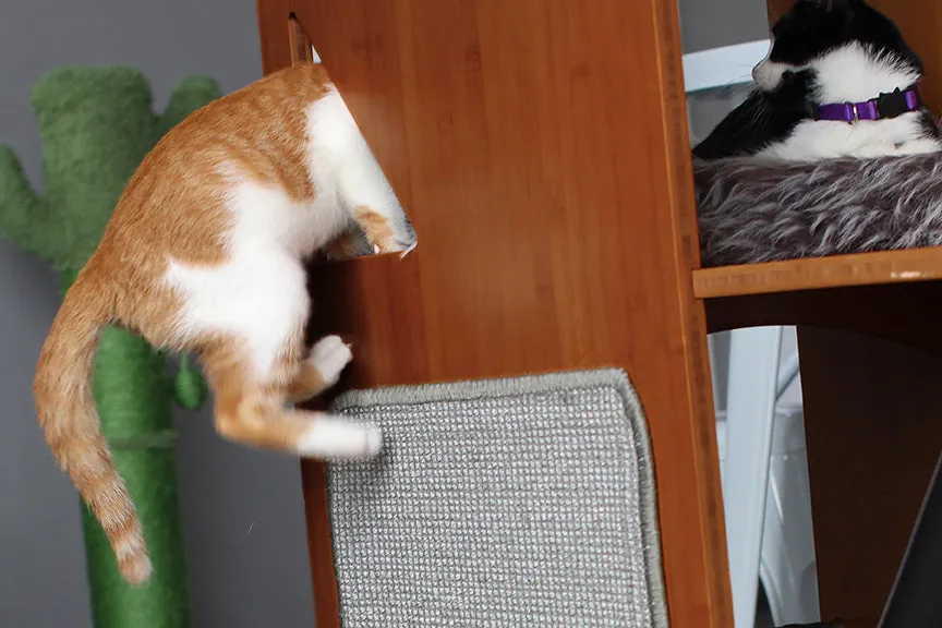 The Overlook - A Cat Tree For Large Cats