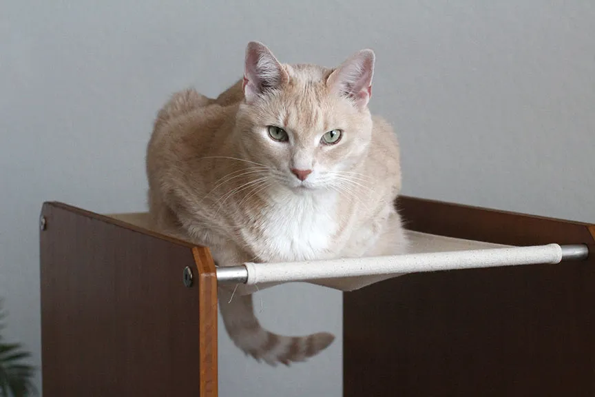 The Overlook - A Cat Tree For Large Cats