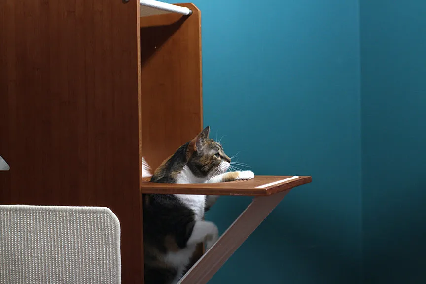 The Overlook - A Cat Tree For Large Cats