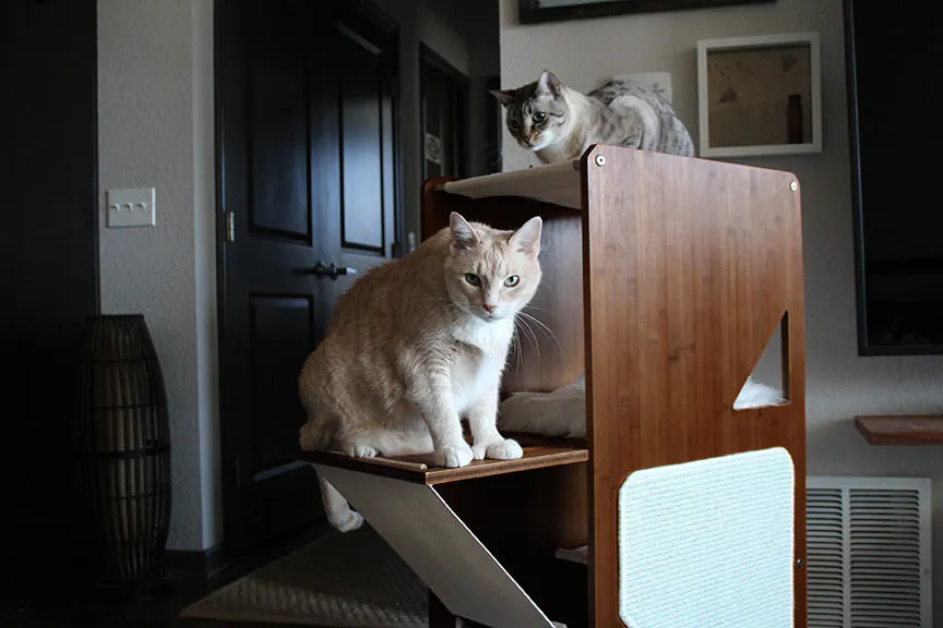 The Overlook - A Cat Tree For Large Cats