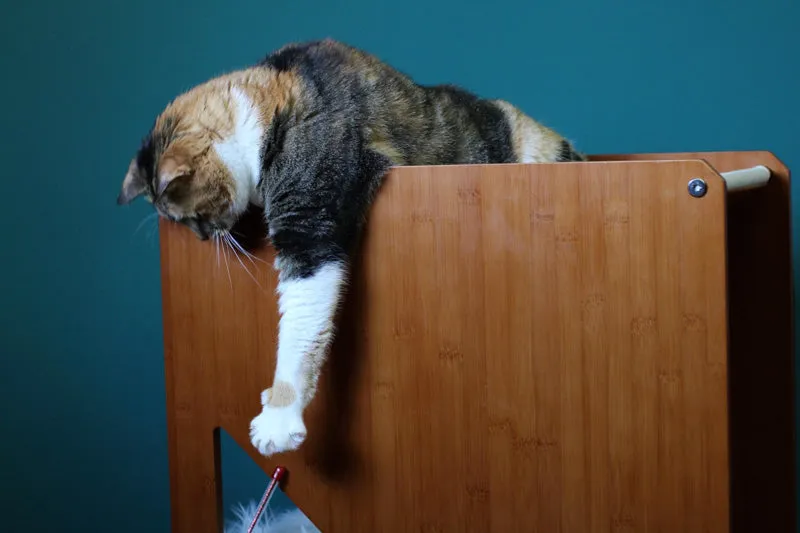 The Overlook - A Cat Tree For Large Cats