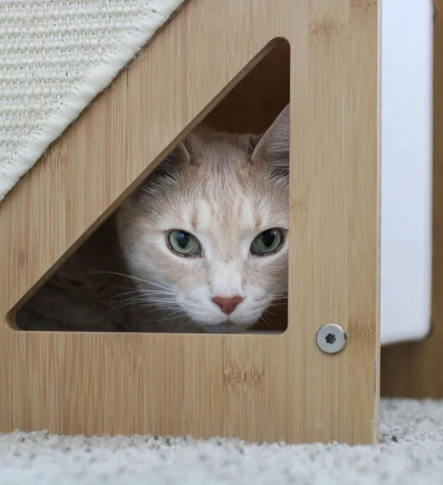 The Overlook - A Cat Tree For Large Cats