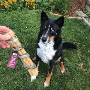 USA Beef Rolled Collagen Dog Dental Chew with Caught Cod Skin